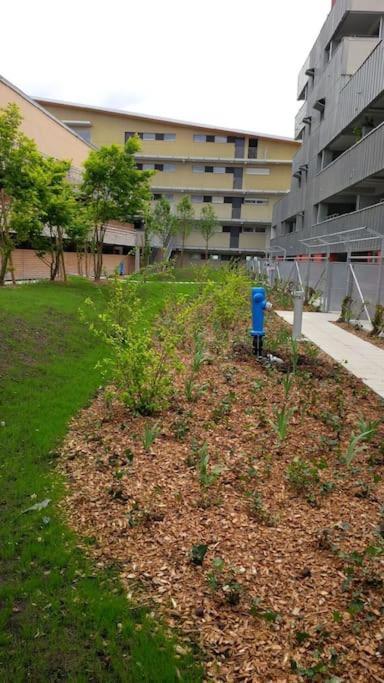 Appartement באיון מראה חיצוני תמונה